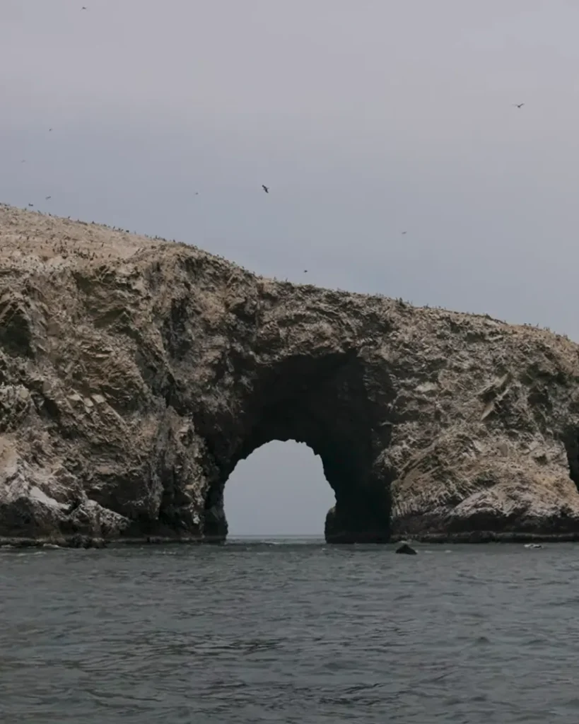 Islas Ballesta atractivo turistico de peru