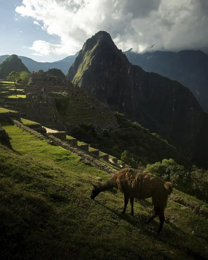 Machu Picchu un lugar turístico en Perú